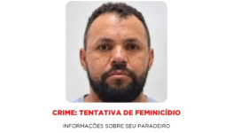 Dicom SSP TO - Procurado