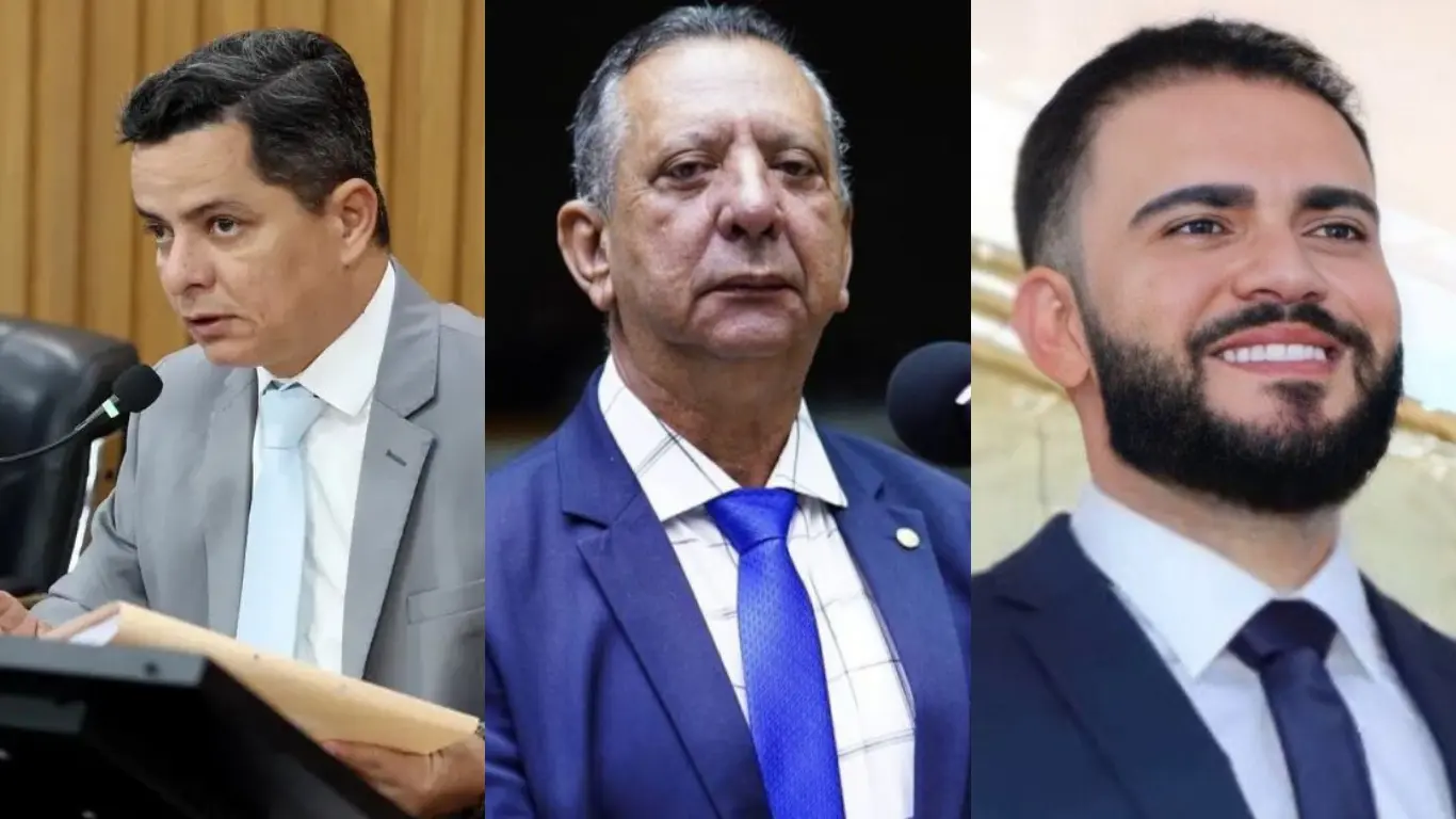 Galeria de 6 Imagens