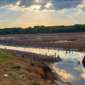 represa-4
