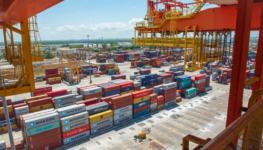 thumbnails (2)