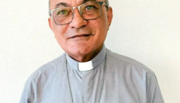 Dom-Pedro-Brito-Guimaraes